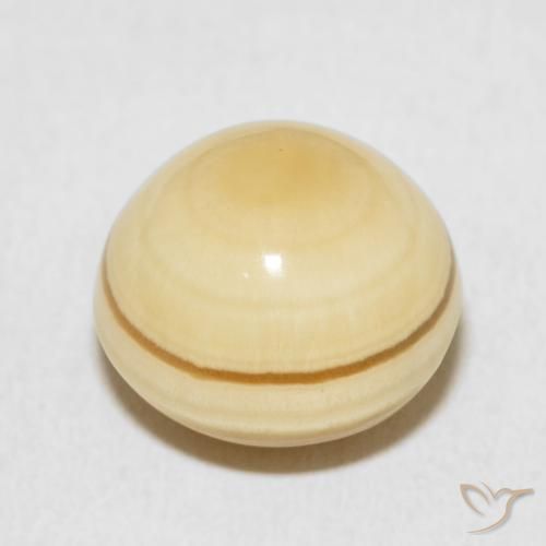 Ágata Multicolor natural de 10.10 ct, Redondo, Opaco