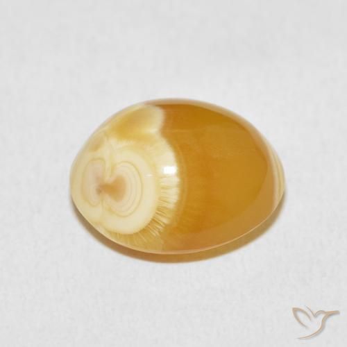 Ágata Multicolor natural de 10.47 ct, Ovalada, Opaco