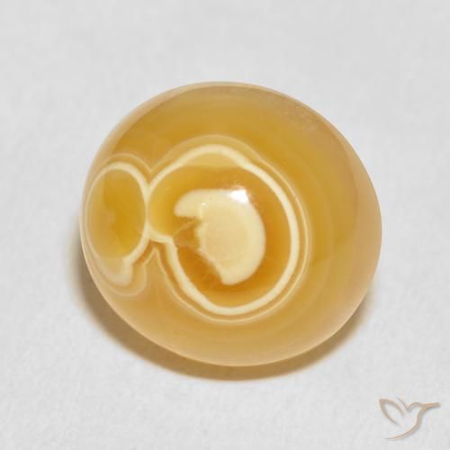 Ágata Multicolor natural de 20.62 ct, Ovalada, Opaco
