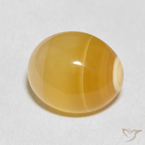 Ágata Multicolor natural de 11.37 ct, Ovalada, Opaco