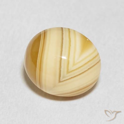 Ágata Multicolor natural de 8.25 ct, Ovalada, Opaco