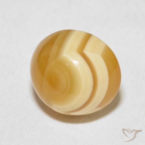 Ágata Multicolor natural de 9.58 ct, Ovalada, Opaco