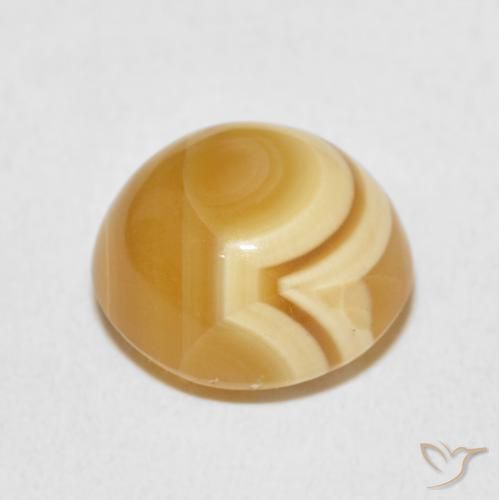 Ágata Multicolor natural de 9.58 ct, Ovalada, Opaco