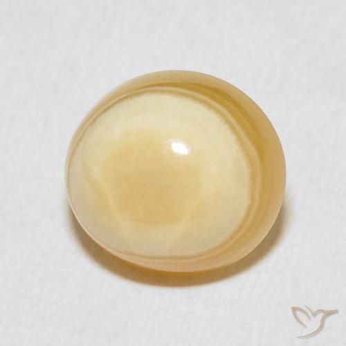 Ágata Multicolor natural de 9.04 ct, Ovalada, Opaco