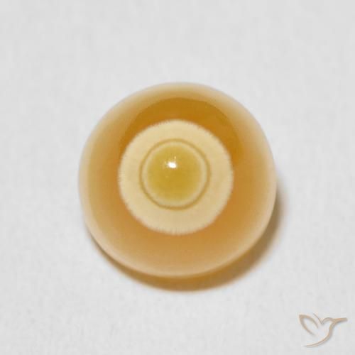 5.91ct Natural Multicolor Ágata, Elegante, Opaco