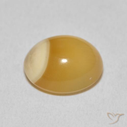 Ágata Multicolor natural de 8.91 ct, Ovalada, Opaco
