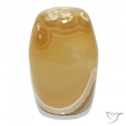 Ágata Multicolor natural de 55.45 ct, Elegante, Translúcido