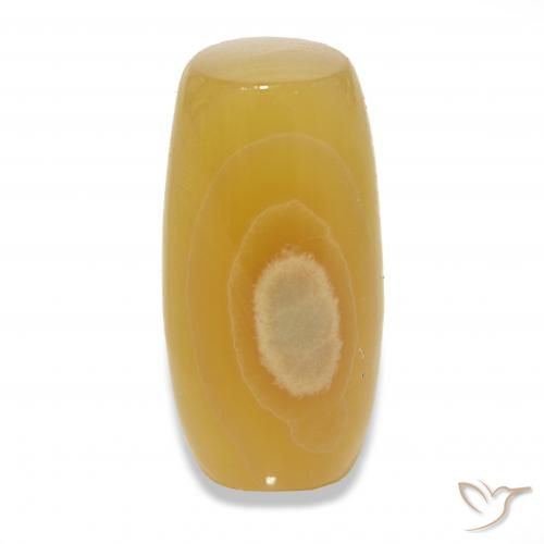 24.20ct Multicolor Ágata, Elegante, Translúcido