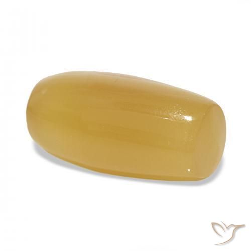 Ágata Multicolor natural de 24.20 ct, Elegante, Translúcido