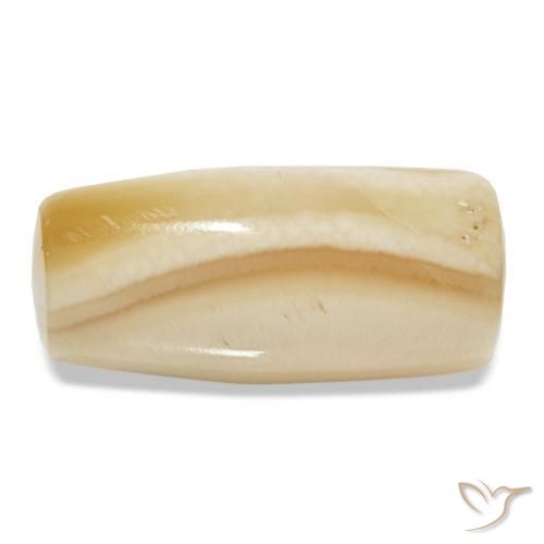 Ágata Multicolor natural de 12.03 ct, Elegante, Opaco