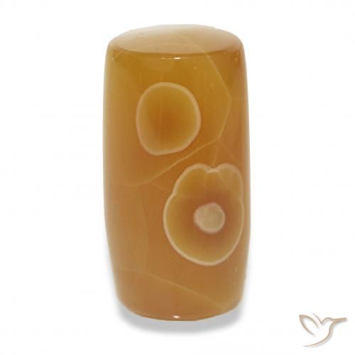 13.53ct Multicolor Ágata, Elegante, Translúcido