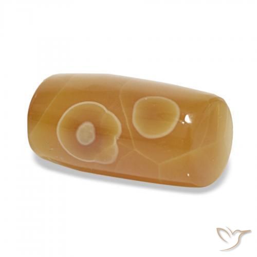 Ágata Multicolor natural de 13.53 ct, Elegante, Translúcido