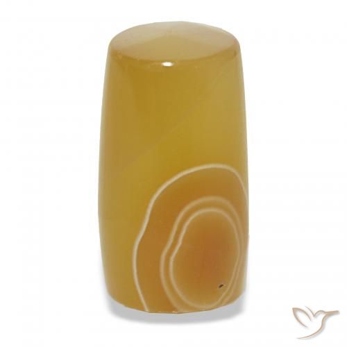 15.12ct Multicolor Ágata, Elegante, Translúcido