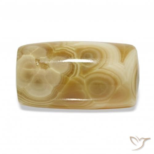 Ágata Multicolor natural de 20.50 ct, Elegante, Translúcido