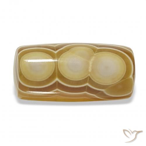 Ágata Multicolor natural de 14.68 ct, Elegante, Opaco