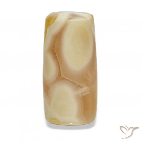 Ágata Multicolor natural de 18.45 ct, Elegante, Translúcido