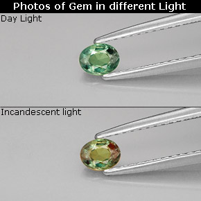 Alejandrita multicolor natural de 0,26 ct, corte óvalo, VVS-VS