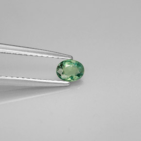 Alejandrita multicolor natural de 0,26 ct, corte óvalo, VVS-VS