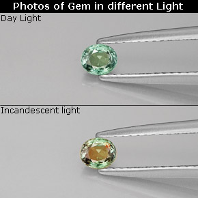 Alexandrita Verde/rojo natural de 0.25 ct, Corte Óvalo, VVS-VS