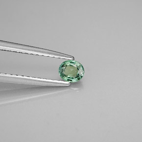 Alexandrita Verde/rojo natural de 0.25 ct, Corte Óvalo, VVS-VS