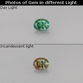 Alexandrita Verde/rojo natural de 0.26 ct, Corte Óvalo, VVS-VS