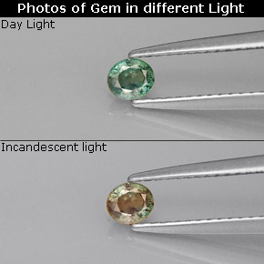 Alexandrita Verde/rojo natural de 0.25 ct, Corte Óvalo, VVS-VS