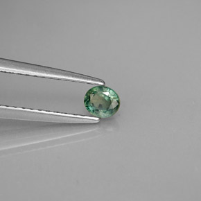 Alexandrita Verde/rojo natural de 0.25 ct, Corte Óvalo, VVS-VS