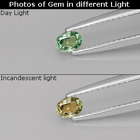 Alexandrita Verde/rojo natural de 0.20 ct, Corte Óvalo, VS