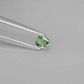 Alexandrita Verde/rojo natural de 0.20 ct, Corte Óvalo, VS