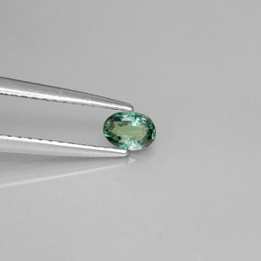 Alejandrita multicolor natural de 0,23 ct, corte óvalo, VS