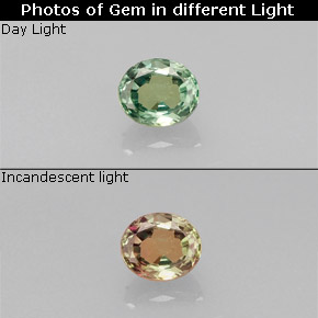 Alejandrita multicolor natural de 0,19 ct, corte óvalo, VS