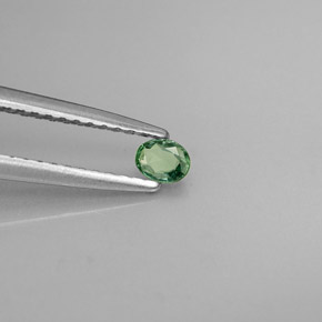 Alejandrita verde/rojo natural de 0,13 ct, corte óvalo, VS