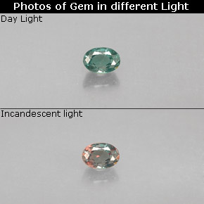 Alejandrita multicolor natural de 0,12 ct, corte óvalo, VS