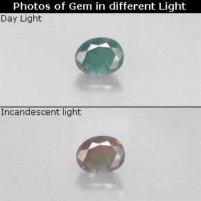 Alejandrita multicolor natural de 0,14 ct, corte óvalo, VS