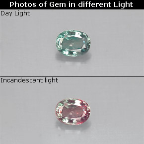 Alejandrita multicolor natural de 0,14 ct, corte óvalo, VS