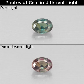 Alejandrita multicolor natural de 0,12 ct, corte óvalo, VS