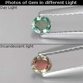 Alexandrita Verde/rojo natural de 0.15 ct, Corte Óvalo, VS