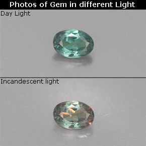 Alejandrita multicolor natural de 0,13 ct, corte óvalo, VS