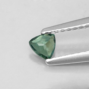 Alexandrita Verde/rojo natural de 0.17 ct, Trillón, VS