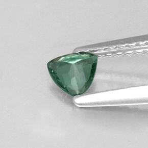 Alejandrita multicolor natural de 0,24 ct, trillón, VS