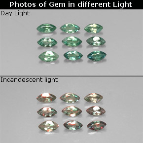 Gemas de alejandrita multicolor natural de  ct, marquesa, VS