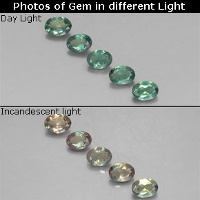 Gemas de alejandrita multicolor natural de  ct, corte óvalo, VS