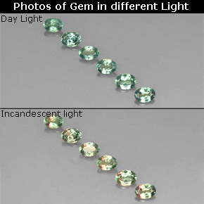 Gemas de Alexandrita Verde/rojo natural de  ct, Corte Óvalo, VS