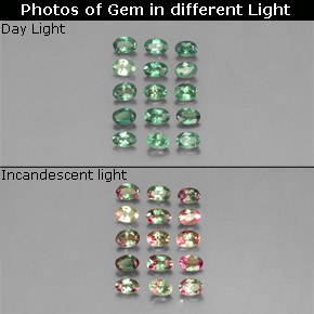 Gemas de alejandrita multicolor natural de  ct, corte óvalo, VS
