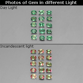 Gemas de alejandrita multicolor natural de  ct, corte óvalo, VS