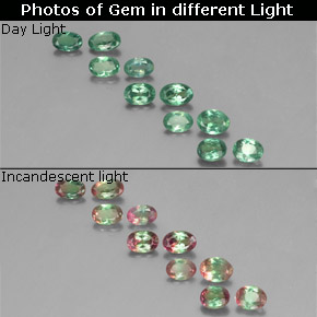 Gemas de alejandrita multicolor natural de  ct, corte óvalo, VS