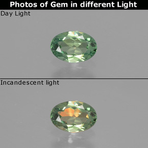 Alejandrita multicolor natural de 0,48 ct, corte óvalo, VS