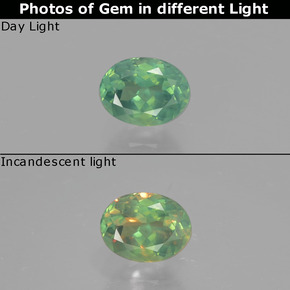 Alexandrita Verde/rojo natural de 0.51 ct, Corte Óvalo, VS