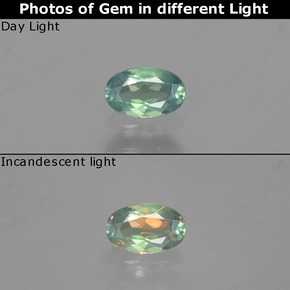 Alejandrita multicolor natural de 0,26 ct, corte óvalo, VS