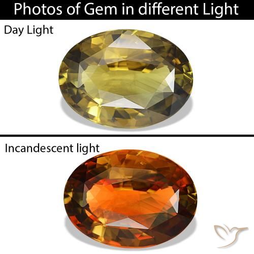 Alejandrita amarillo natural de 6,83 ct, corte óvalo, VVS